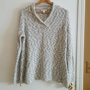 Coldwater Creek v-neck sweater